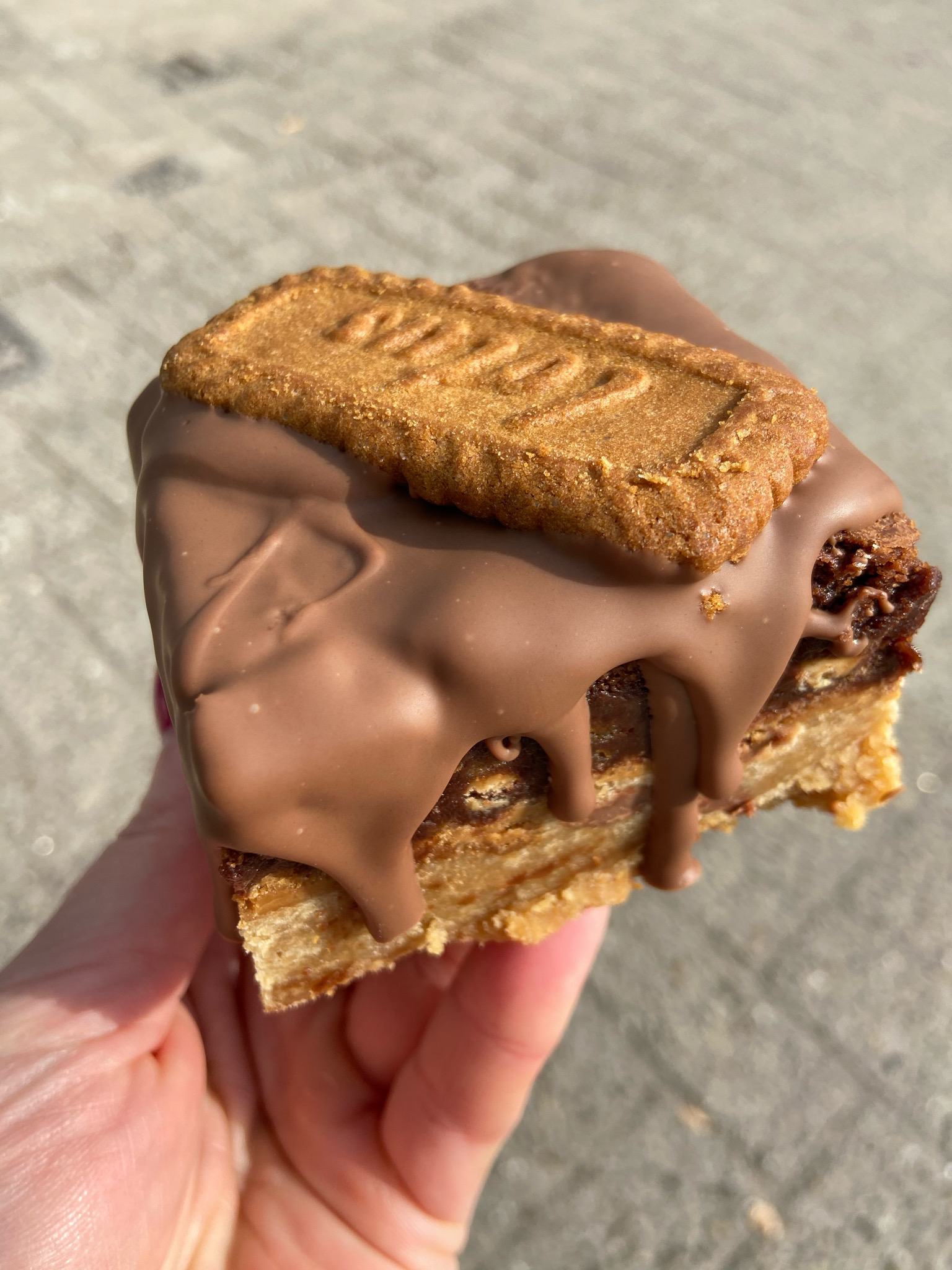 Biscoff brookie