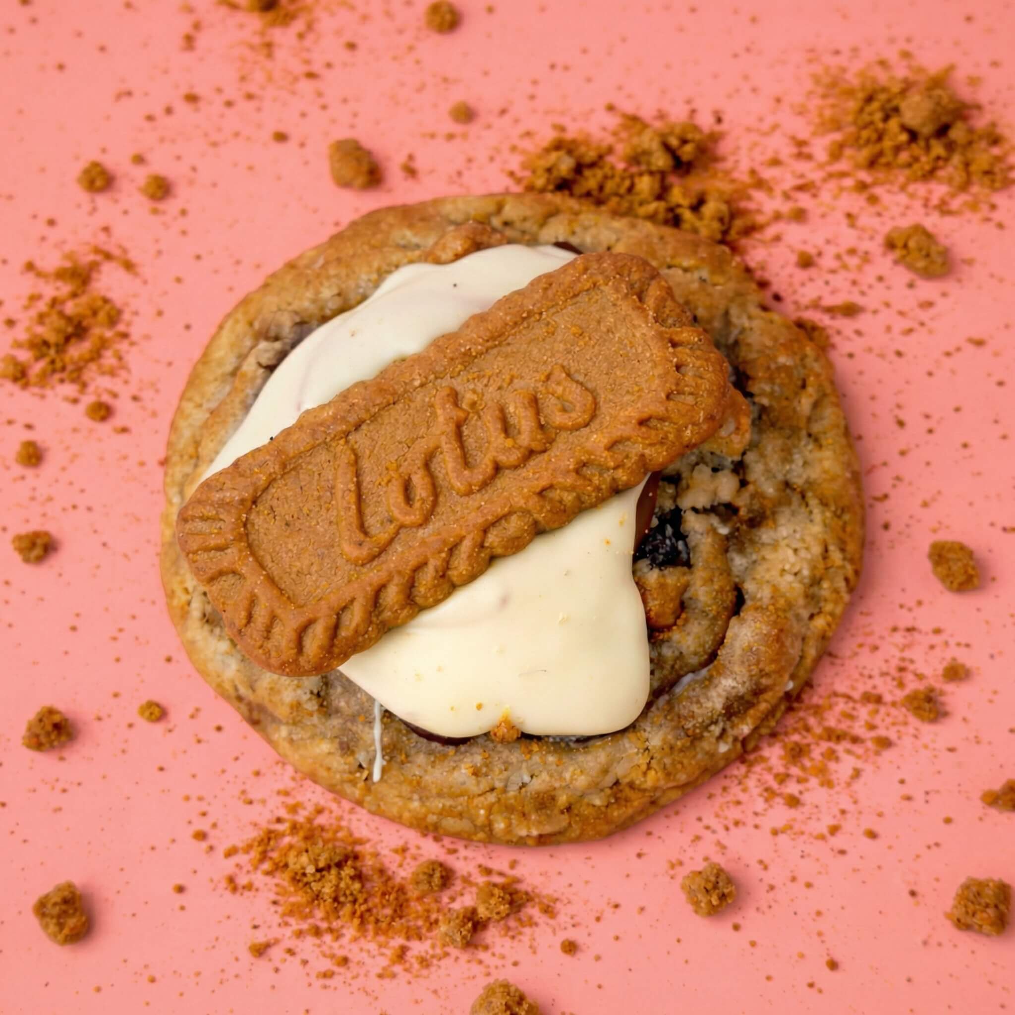 Lotus Speculoos Crush