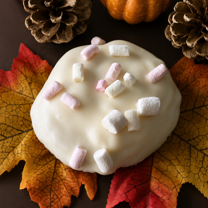 Pumpkin smores snap