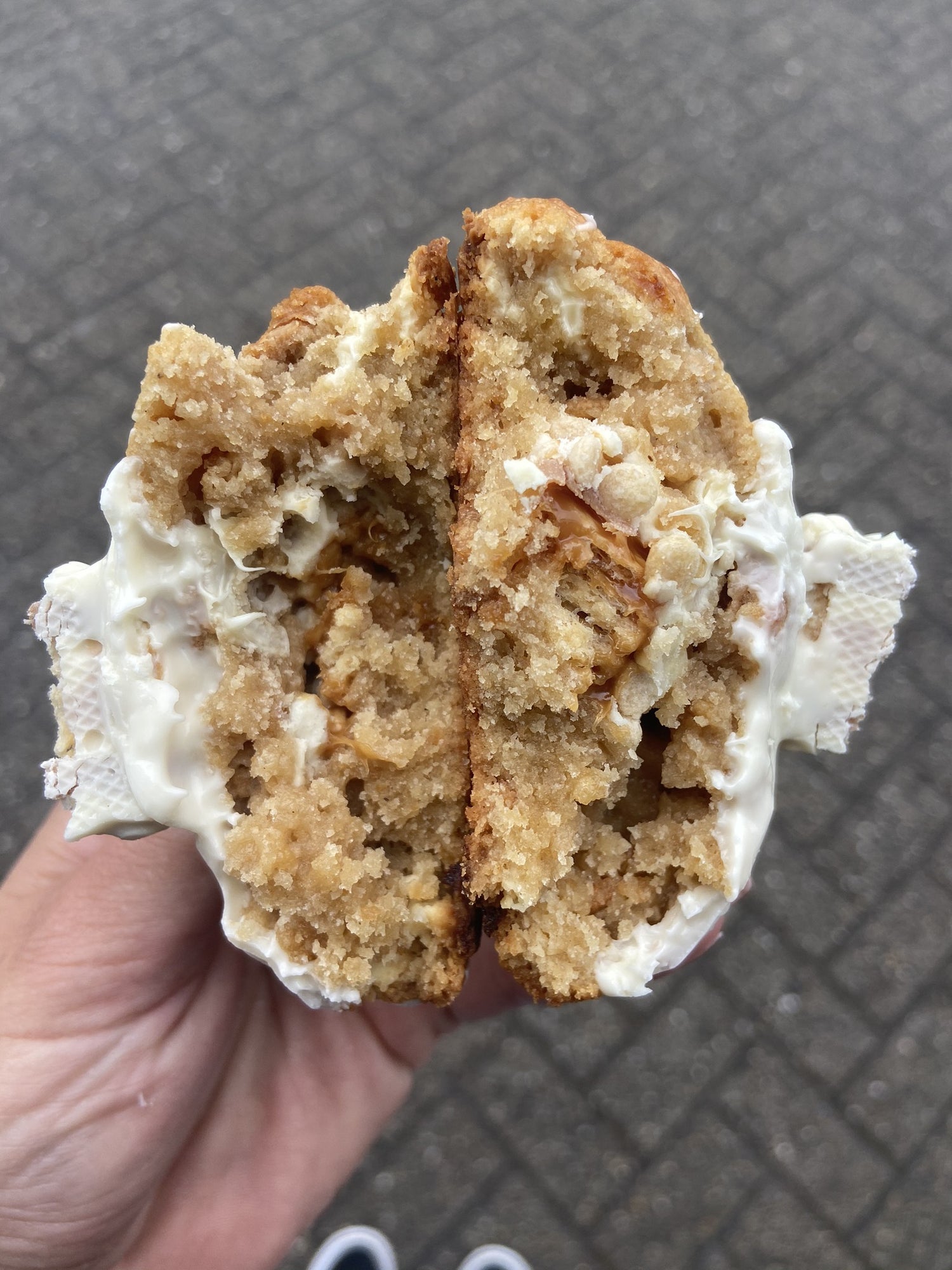 Lion cookie in white